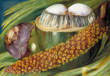 Картина "male inflorescence and ripe nuts of the coco de mer, seychelles" художника "норт марианна"