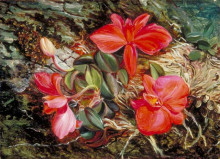 Копия картины "brazilian orchid" художника "норт марианна"