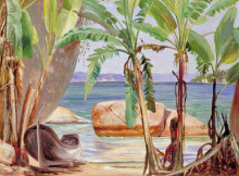 Репродукция картины "bananas and rocks at paquet&#225;, brazil" художника "норт марианна"