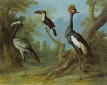 Картина "demoiselle crane, toucan, and tufted crane" художника "одри жан-батист"