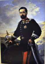 Картина "coronel francisco e. contreras" художника "олльер франциско"
