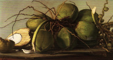 Копия картины "cocos" художника "олльер франциско"