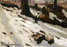 Репродукция картины "snow near the cave, central park, new york" художника "ондердонк роберт джулиан"