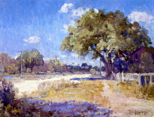 Репродукция картины "texas landscape" художника "ондердонк роберт джулиан"