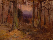 Копия картины "landscape sketch" художника "ондердонк роберт джулиан"