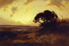 Копия картины "golden evening, southwest texas" художника "ондердонк роберт джулиан"