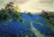 Картина "bluebonnet field" художника "ондердонк роберт джулиан"