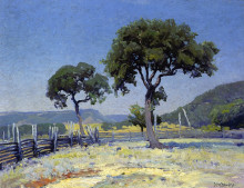 Репродукция картины "live oak trees on williams&#39; ranch, bandera county" художника "ондердонк роберт джулиан"