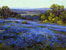 Репродукция картины "bluebonnets, late afternoon, north of san antonio" художника "ондердонк роберт джулиан"