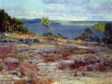 Картина "mountain pinks in bloom, medina lake, southwest texas" художника "ондердонк роберт джулиан"
