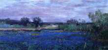 Репродукция картины "blue bonnets at twilight" художника "ондердонк роберт джулиан"
