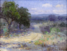 Копия картины "a path through the texas hill country" художника "ондердонк роберт джулиан"