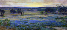 Копия картины "bluebonnets at dusk" художника "ондердонк роберт джулиан"