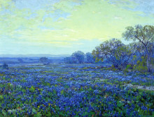 Картина "field of bluebonnets under cloudy sky" художника "ондердонк роберт джулиан"