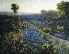 Репродукция картины "field of texas bluebonnets and prickly pear cacti" художника "ондердонк роберт джулиан"