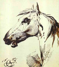 Репродукция картины "head of a horse" художника "орловский александр"