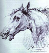 Картина "head of a horse" художника "орловский александр"