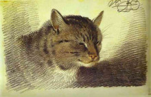 Копия картины "head of a cat" художника "орловский александр"