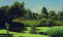 Копия картины "the landscape. the reeds in the river." художника "орловский владимир"