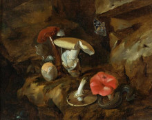 Копия картины "a forest floor still life with mushrooms, a snake and a butterfly" художника "отто марсеус ван скрик"