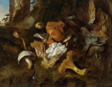 Картина "a forest floor still life with mushrooms and a snake" художника "отто марсеус ван скрик"
