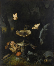 Репродукция картины "a forest floor still life with various fungi, thistles, an aspic viper, etc." художника "отто марсеус ван скрик"