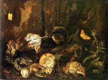 Репродукция картины "still life with snakes, frogs, mushrooms, flowers and butterflies" художника "отто марсеус ван скрик"