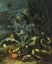 Картина "a forest floor still life" художника "отто марсеус ван скрик"