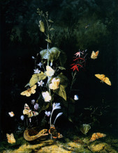 Копия картины "plants, frogs, butterflies and a snake on a forest ground" художника "отто марсеус ван скрик"