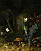 Репродукция картины "nocturnal forest landscape with a thistle, chestnuts and mushrooms" художника "отто марсеус ван скрик"