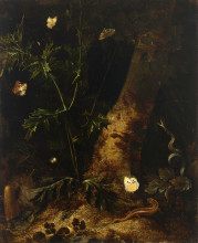 Копия картины "a forest floor still life with a salamander, snake and various butterflies around a thistle" художника "отто марсеус ван скрик"