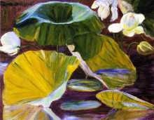 Репродукция картины "lotus flowers [oya, japan]" художника "перри лила кэбот"