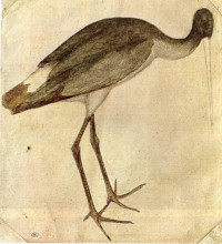 Копия картины "stork" художника "пизанелло"