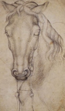 Копия картины "study of the head of a horse" художника "пизанелло"
