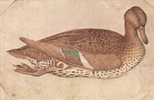 Копия картины "duck" художника "пизанелло"