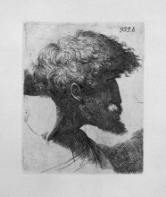 Копия картины "old man`s head in profile" художника "пиранези джованни баттиста"