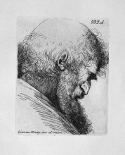 Репродукция картины "old man`s head in profile" художника "пиранези джованни баттиста"