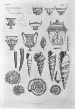 Копия картины "other shells, and greek vases etched outline" художника "пиранези джованни баттиста"