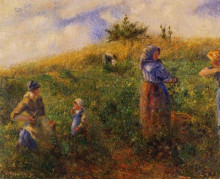 Картина "picking peas" художника "писсарро камиль"