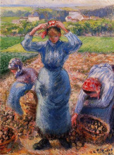 Картина "peasants harvesting potatoes" художника "писсарро камиль"