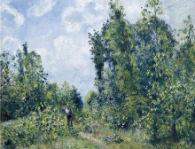 Репродукция картины "wanderer near the wood" художника "писсарро камиль"