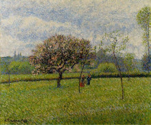 Репродукция картины "flowering apple trees at eragny" художника "писсарро камиль"