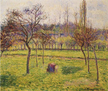 Копия картины "apple trees in a field" художника "писсарро камиль"