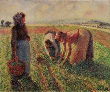 Репродукция картины "picking peas" художника "писсарро камиль"