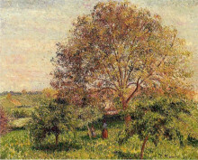 Картина "walnut tree in spring" художника "писсарро камиль"