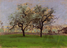 Репродукция картины "apples trees at pontoise" художника "писсарро камиль"