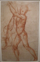 Копия картины "study of nude" художника "понтормо джакопо"