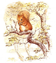 Репродукция картины "squirrel nutkin" художника "поттер беатрис"