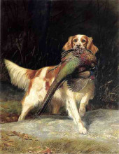 Репродукция картины "springer spaniel with pheasant" художника "поуп александр"