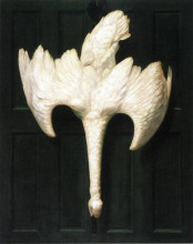 Картина "the trumpeter swan" художника "поуп александр"